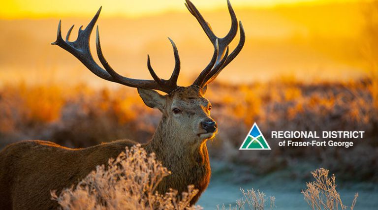 After The Hunt – Proper Disposal Of Hunting Waste