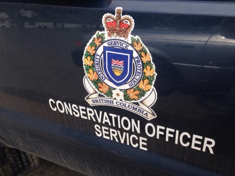 Williams Lake Conservation officers free buck entangled with toboggan