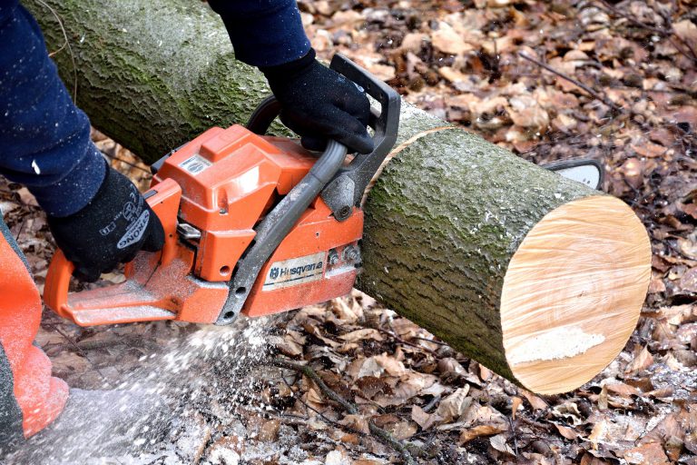 Program looks to train PG residents for careers in forestry