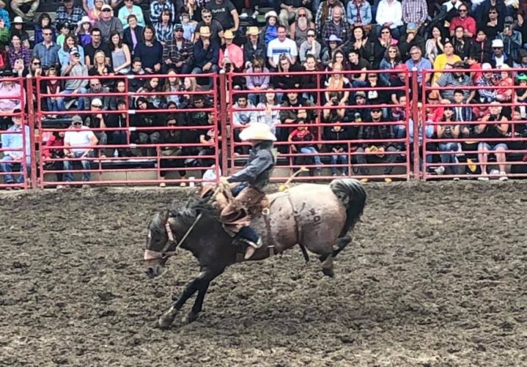 2020 Williams Lake Stampede cancelled