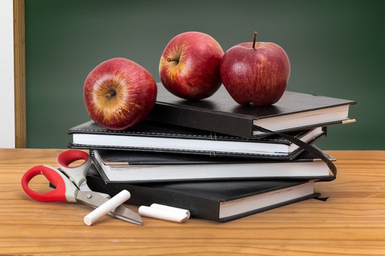 Digital application Zoom to be used in province-wide education