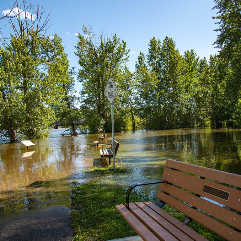 Sections of Cottonwood Island Nature Park remain closed as Fraser River reaches highest level of Spring