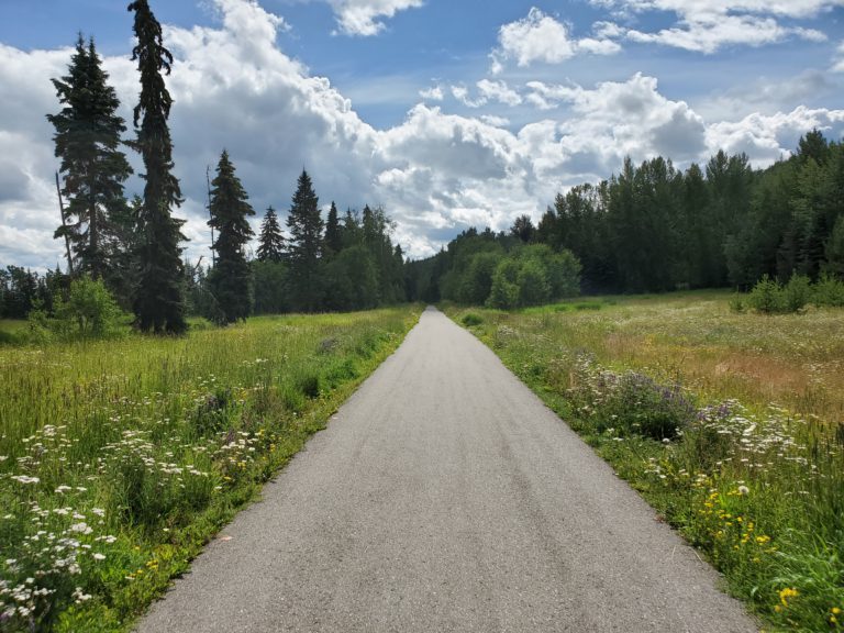 Small section of trail being paved through Ginter’s to improve accessibility