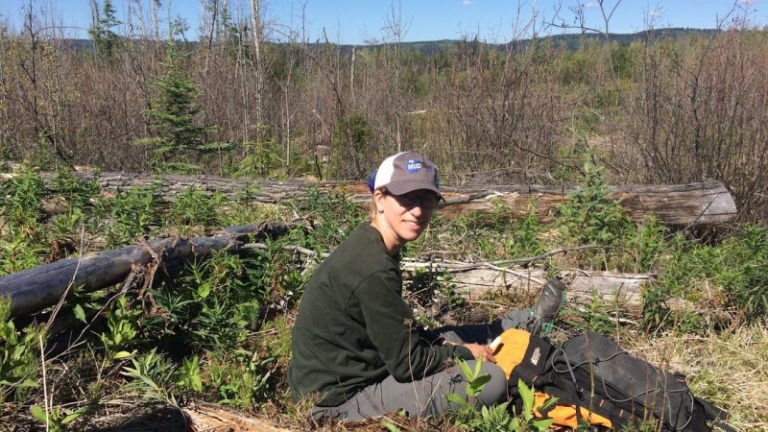 UNBC professor recieves $132,500 for important herbicide research