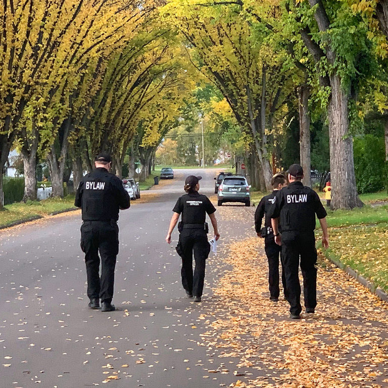 Bylaw services says new bylaw is needed to address behavioral issues