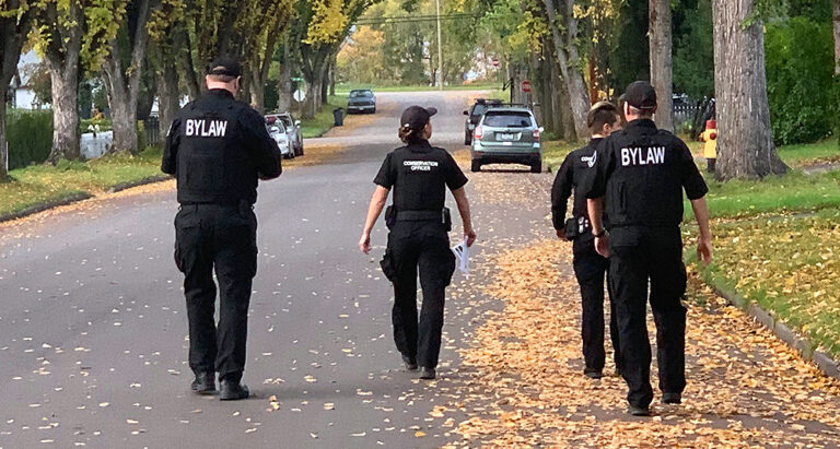 City bear issue becomes unbearable; officers take action