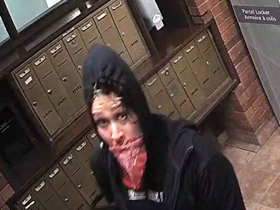 Prince George RCMP searching for break and enter suspects