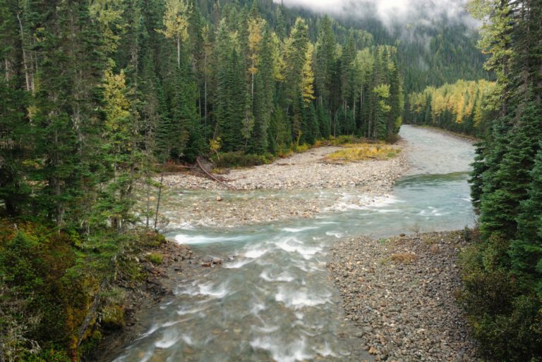 Three day outdoor skills course for women being offered this spring