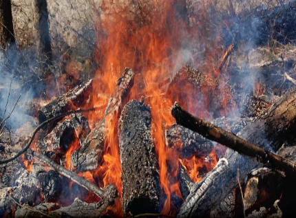 Cariboo Fire Centre reminding the public to use extreme caution