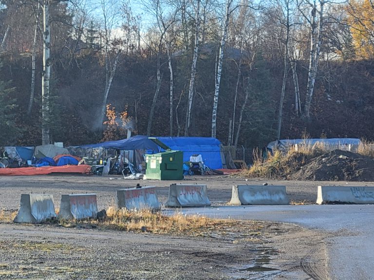 Student-led protest against city’s centralized homelessness approach planned for Saturday