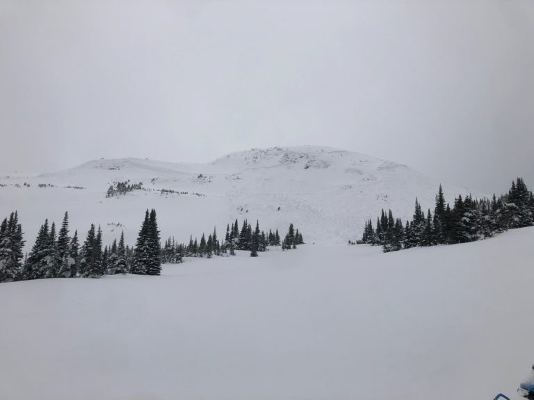 Update: Alberta man dies following avalanche near Valemount