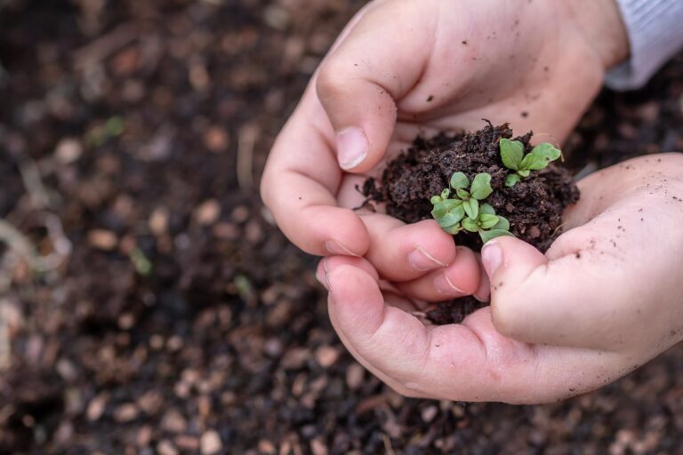 2025 Seed Library to support Prince George food security