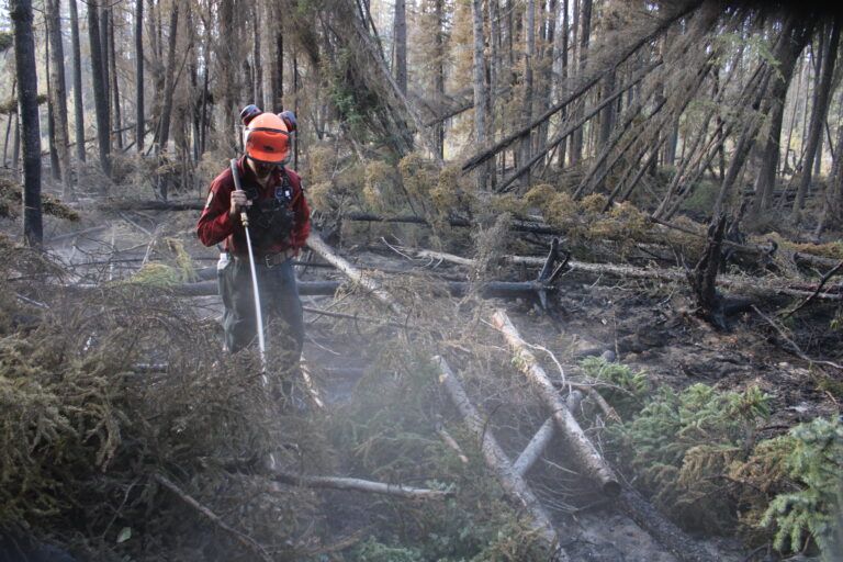 Rain to help decrease fire activity on Stoddart Creek wildfire