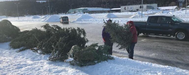 Christmas tree recycling returns to CN Centre parking lot