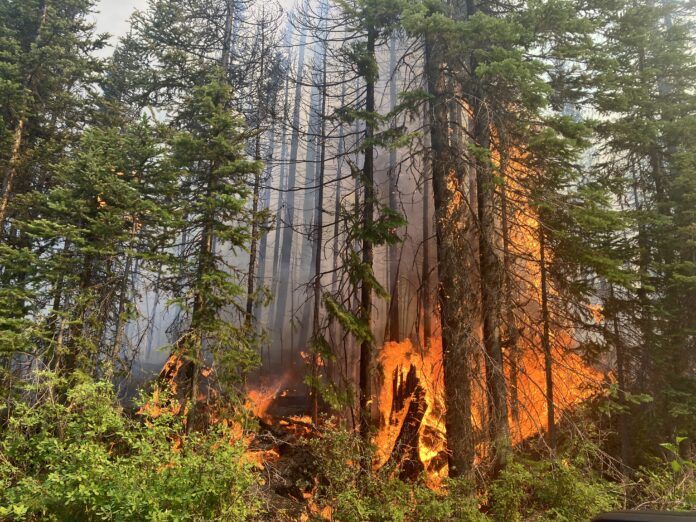 Update: PG air quality improving amid wildfire activity