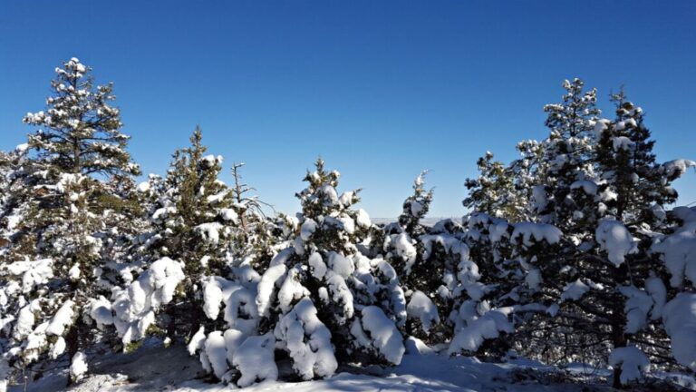 Two people perish in an avalanche in the Chilcotin