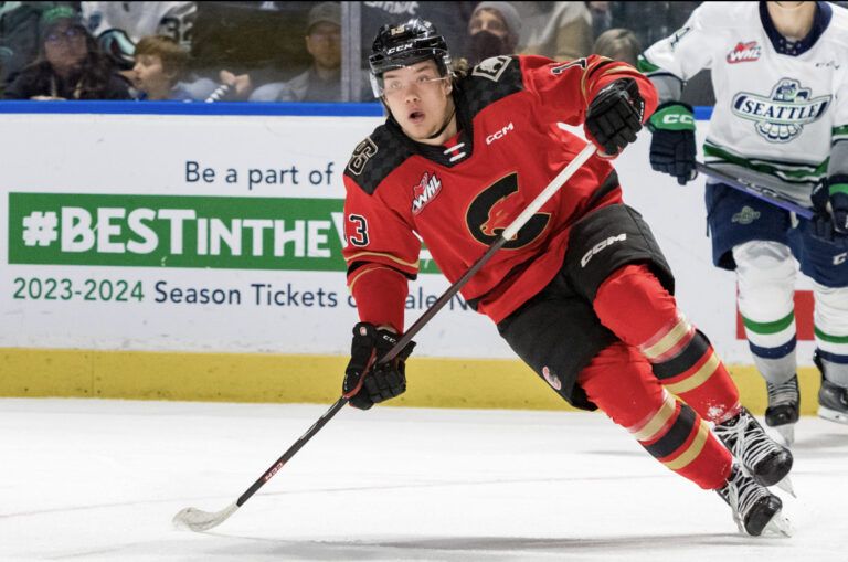 Ziemmer reassigned to Cougars by Kings