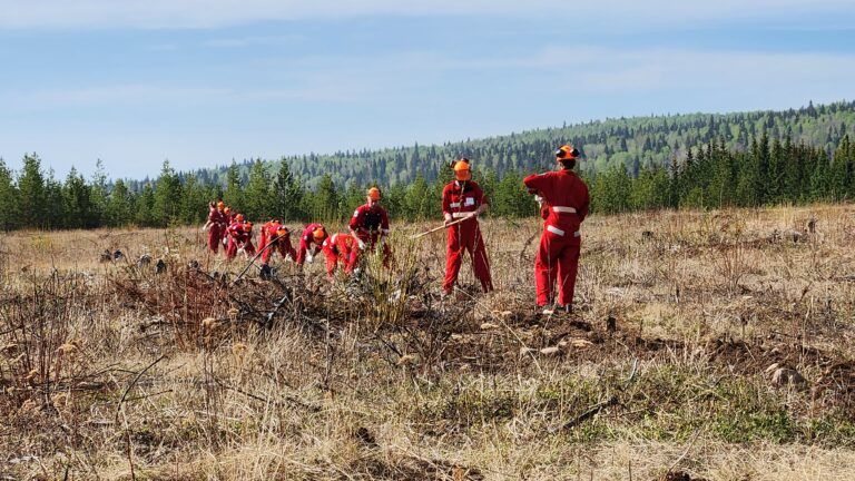 Controlled brush pile burns planned in McLeod Lake area