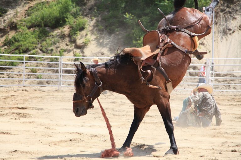 450 riders to compete in weekend rodeo