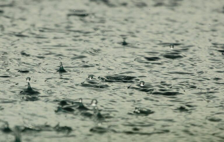Much needed rain in the forecast for Prince George