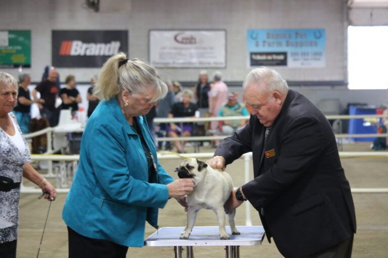 PG Kennel Club Dog Show earns round of “a-paws” in return
