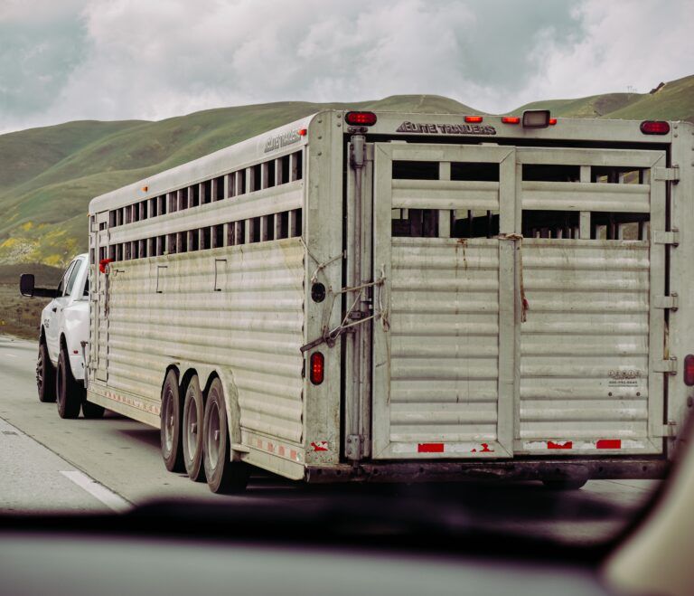Volunteers getting ready to help evacuate animals if needed