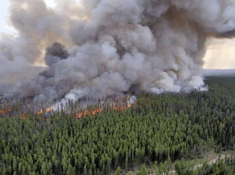5% of Prince George Fire Centre’s total area has burned this year