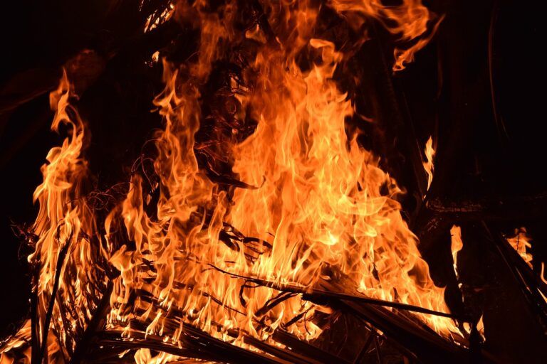 Product to protect homes from wildfires born from BC wildfires