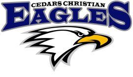 Cedars Christian Eagles soar to first provincial boys volleyball title in 25 years