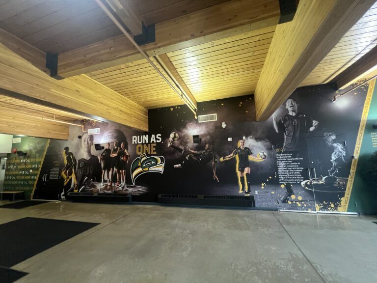 New mural unveiled at Northern Sport Centre