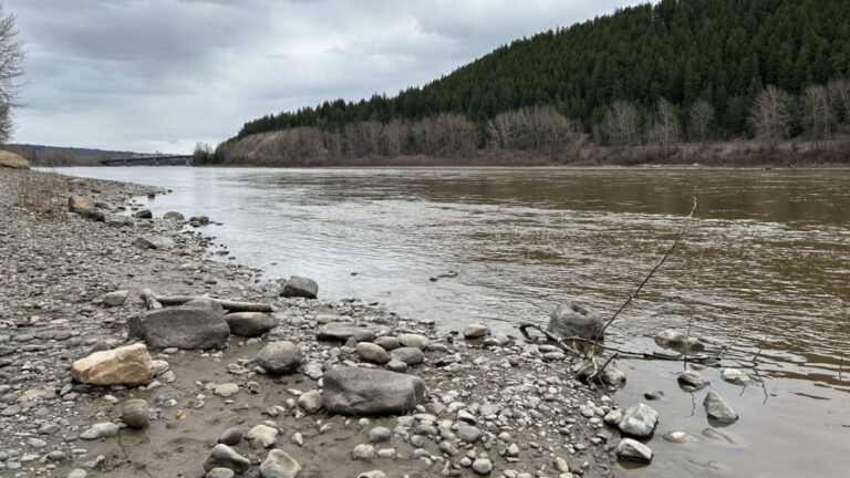 Wetter summer helping with drought conditions in Prince George area