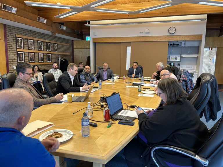 Public Safety Committee discusses promotion of citizen patrol programs