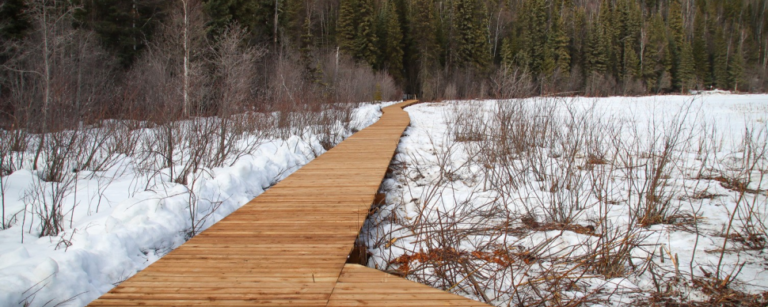 Ferguson Lake Nature Reserve trail upgrades completed
