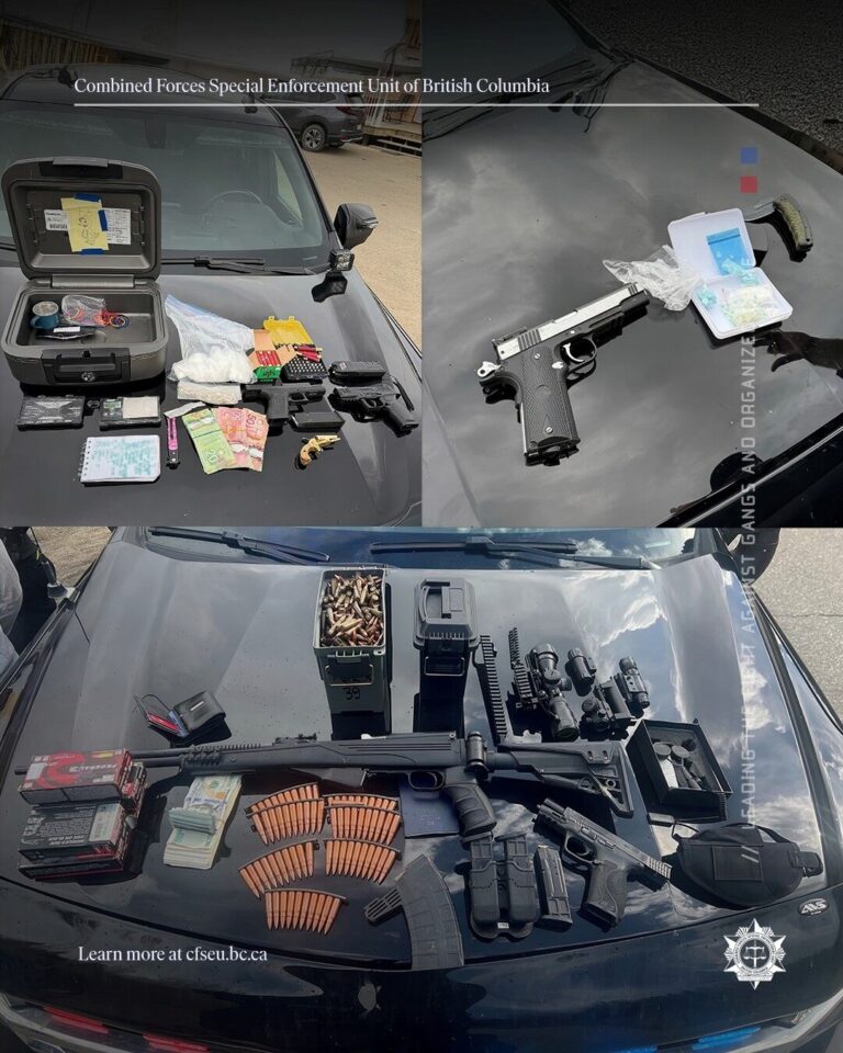 Combined Forces Special Enforcement Unit make 33 arrests in Peace Region bust