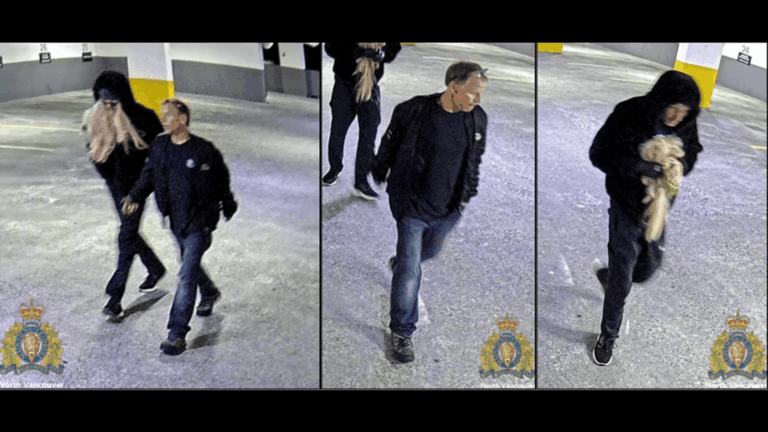 RCMP seeking two men after explosion outside MLA Bowinn Ma’s North Van office