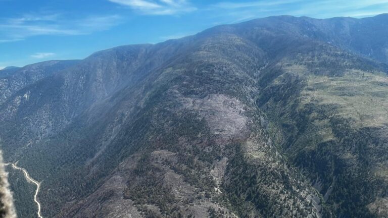 Drought and strong winds challenging firefighters in B.C.’s northeast