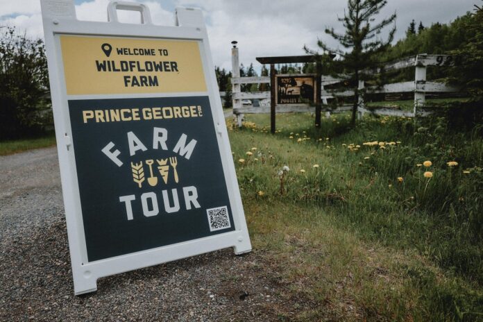 One of the stops on Tourism Prince George Farm Tour Experience initiative (Supplied by Tourism Prince George)