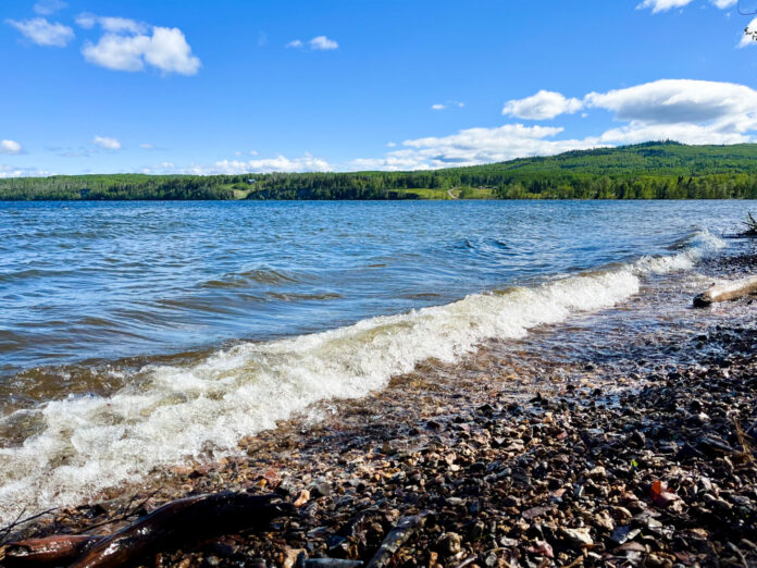 Francois Lake shoreline