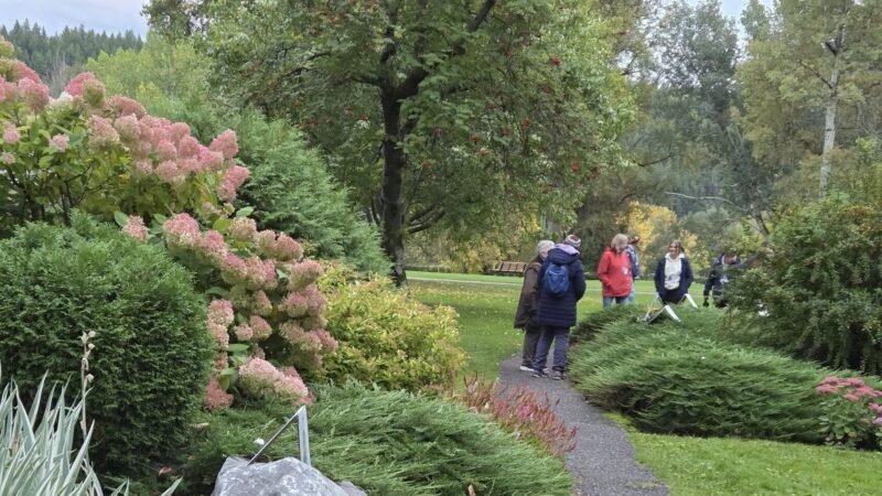 Soles Remembering Souls Memorial Walk