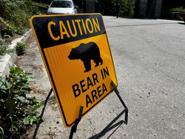 Caution bear in area sign