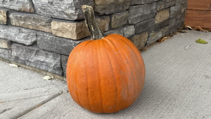 Pumpkin